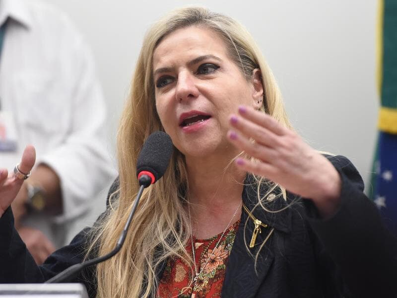 Deputada Luizianne Lins e demais brasileiros da Flotilha Global Sumud começam a ser julgados neste sábado. - Leonardo Prado/Câmara dos Deputados