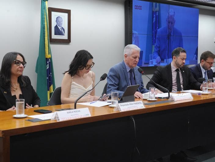 Parlamentares analisaram endurecimento de penas e combate ao mercado ilegal de bebidas. - Renato Araújo/Câmara dos Deputados