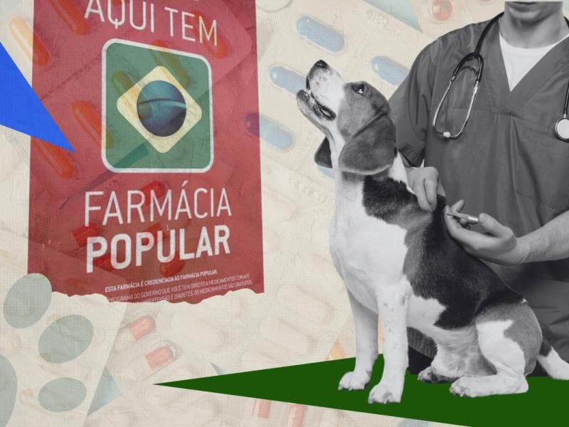 Projeto utilizará recursos da União. - Arte Congresso em Foco
