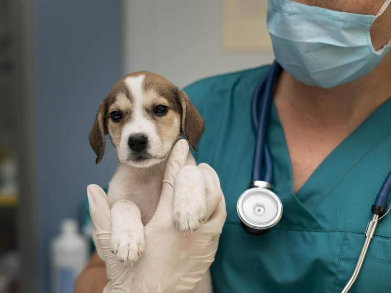 A comprovação da ausência exigirá atestado médico de comparecimento. - Freepik