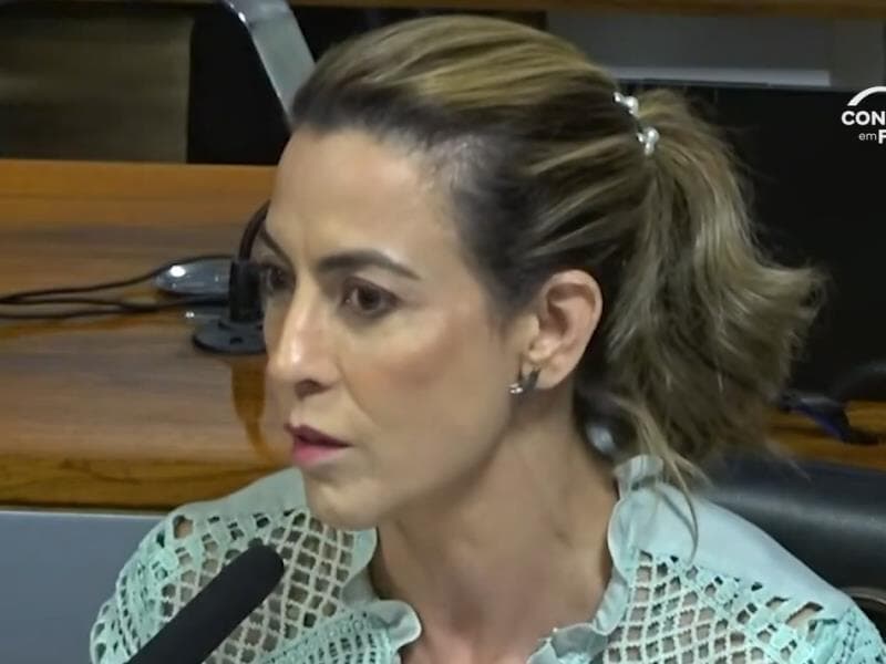Senadora avalia que Fernando Haddad mantém uma postura econômica mais favorável à abertura de mercados do que seu antecessor. - TV Senado/Reprodução