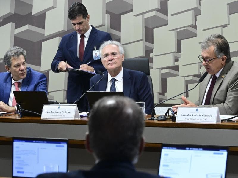 No Senado, o projeto é relatado pelo senador Renan Calheiros, que também é presidente da CAE. - Geraldo Magela/Agência Senado