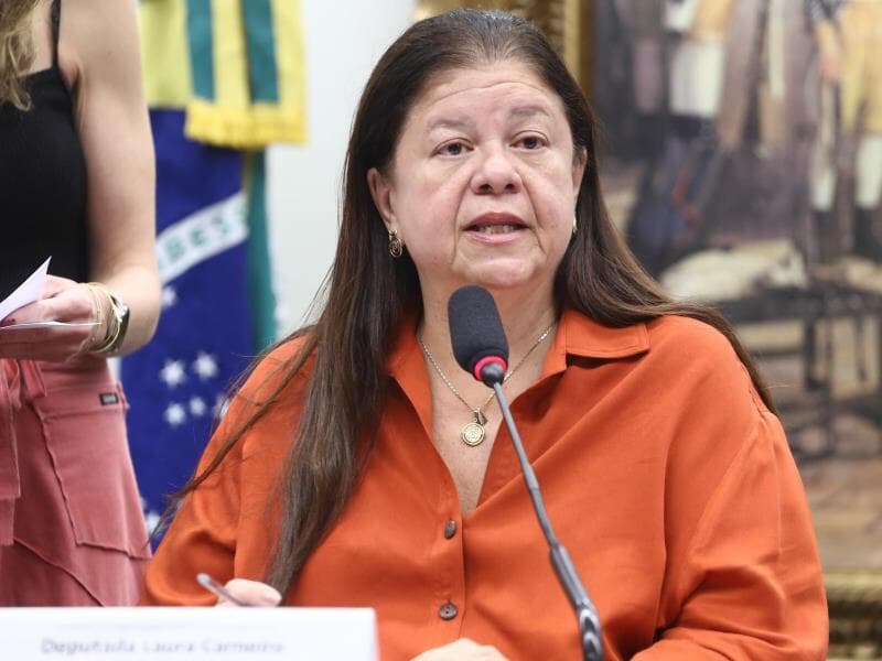 Laura Carneiro: texto aprovado aprimora o regramento previsto na Lei Maria da Penha. - Vinicius Loures/Câmara dos Deputados