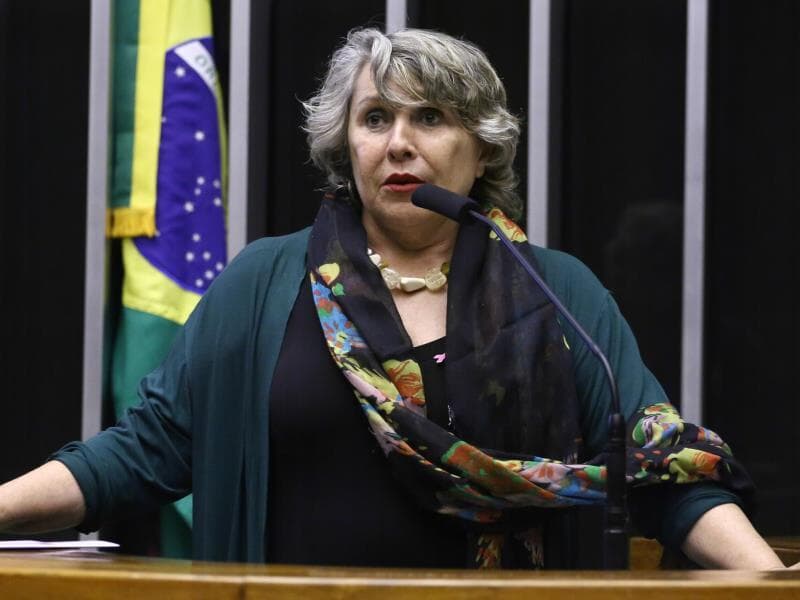Erika Kokay, autora do projeto de lei. - Vinicius Loures/Câmara dos Deputados