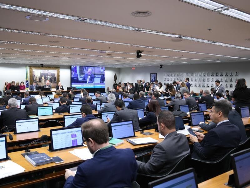 Medida aprovada propõe maior equilíbrio entre autonomia e controle legislativo, fortalecendo a transparência e a proteção ao consumidor. - Kayo Magalhães/Câmara dos Deputados