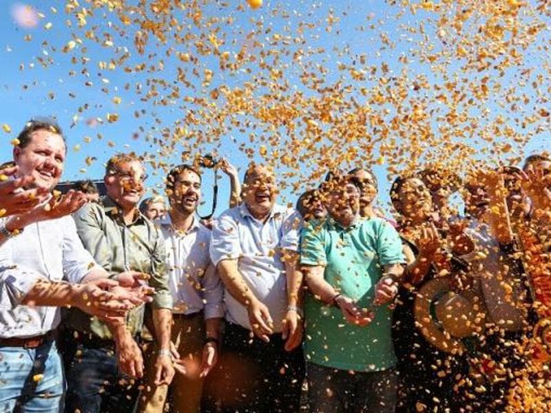 Abertura da colheita do milho em Santo Ângelo (RS), em 2019.  - Divulgação/Palácio Piratini