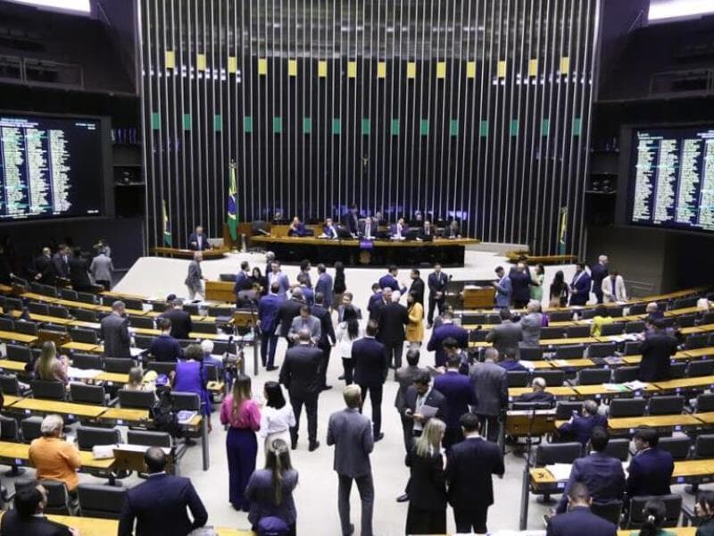 Projeto foi uma resposta à criação de pacotes de viagens internacional sem a bagagem de mão inclusa.  - Vinicius Loures/Câmara dos Deputado