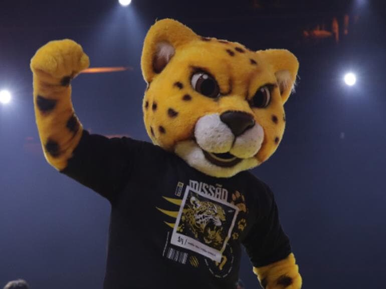 Partido Missão tem um tigre como mascote oficial. - Instagram/Partido Missão