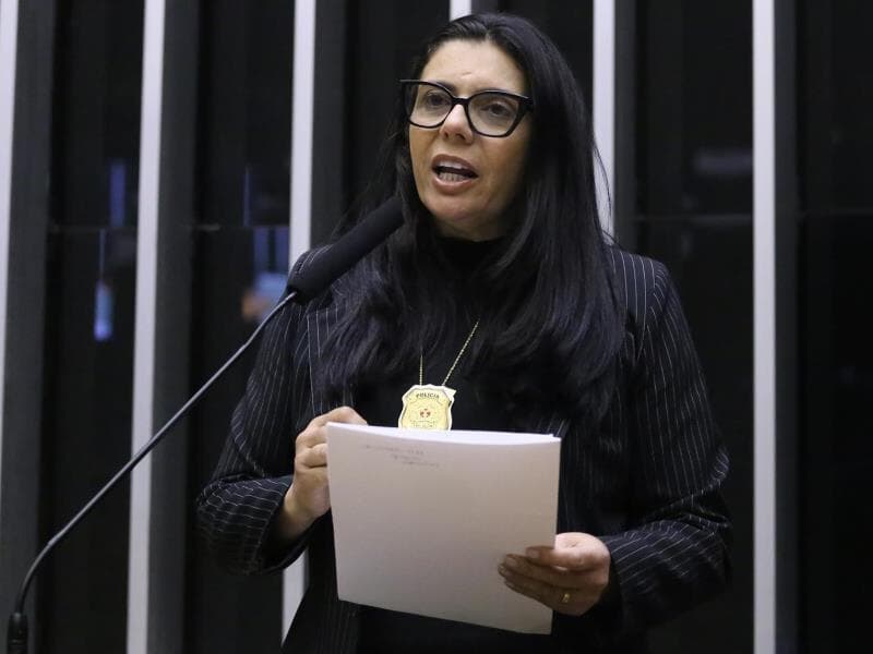 Deputada Delegada Ione, relatora do projeto de lei. - Kayo Magalhães/Câmara dos Deputados