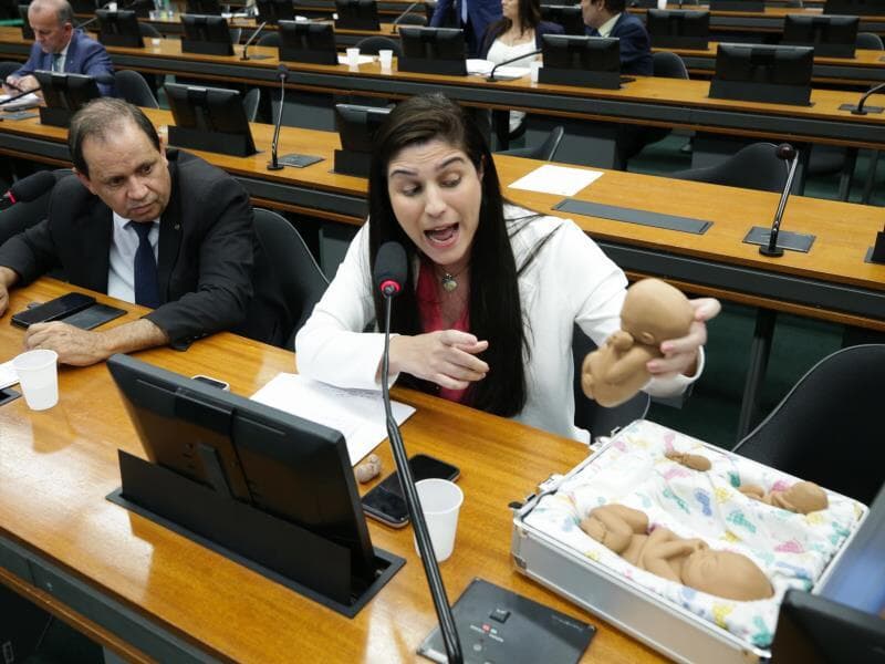 Projeto é de autoria da deputada Chris Tonietto, uma das principais opositoras da descriminalização do aborto no Congresso. - Lula Marques/Agência Brasil