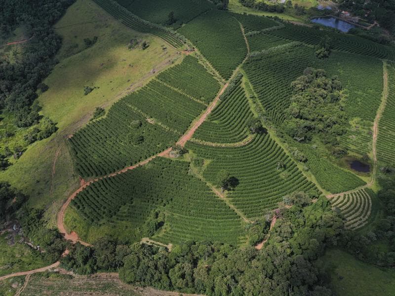Fazenda cafeeira na Serra da Mantiqueira, em Socorro (SP). - Rubens Chaves/Folhapress