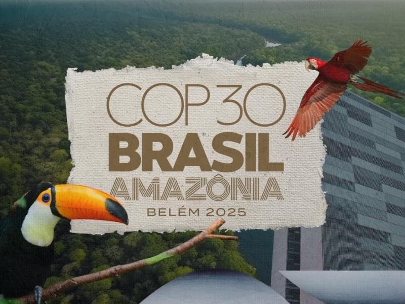 Mudança de capital foi sancionada em 5 de novembro. - Arte Congresso em Foco/Foto: Freepik