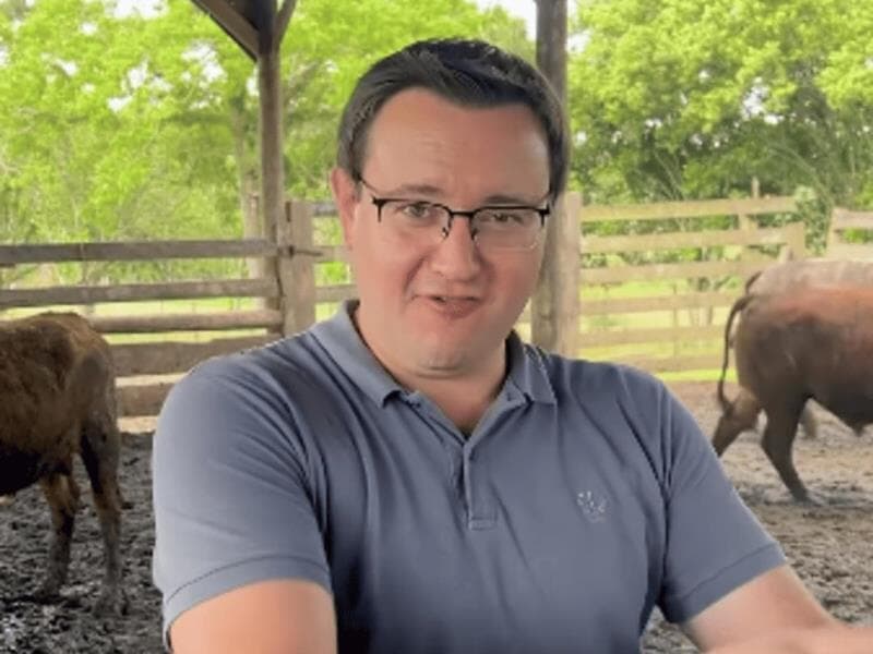 Comentário da deputado Julia Zanatta.  - Reprodução/Instagram