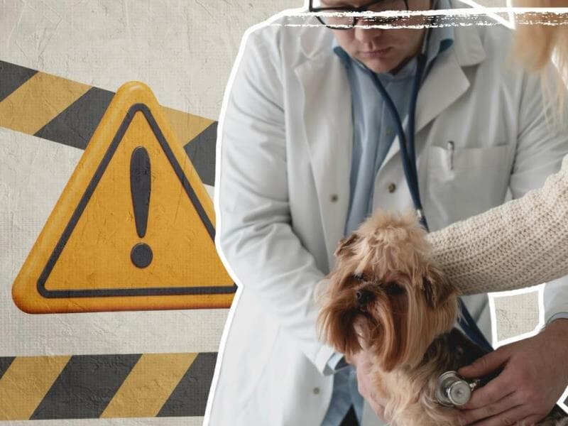 O adicional de insalubridade ou de periculosidade deve ser comprovado por laudo técnico de condições ambientais do trabalho. - Arte Congresso em Foco O adicional de insalubridade ou de periculosidade deve ser comprovado por laudo técnico de condições ambientais do trabalho. - Arte Congresso em Foco