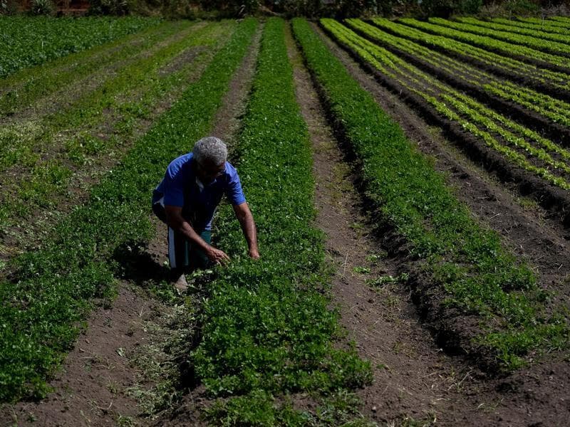 Atualmente, a legislação implica a perda da condição de segurado especial caso a pensão ultrapasse um salário mínimo.  - Pedro Ladeira/Folhapress