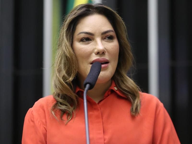 Renilce Nicodemos recomendou a aprovação da proposta. - Zeca Ribeiro/Câmara dos Deputados