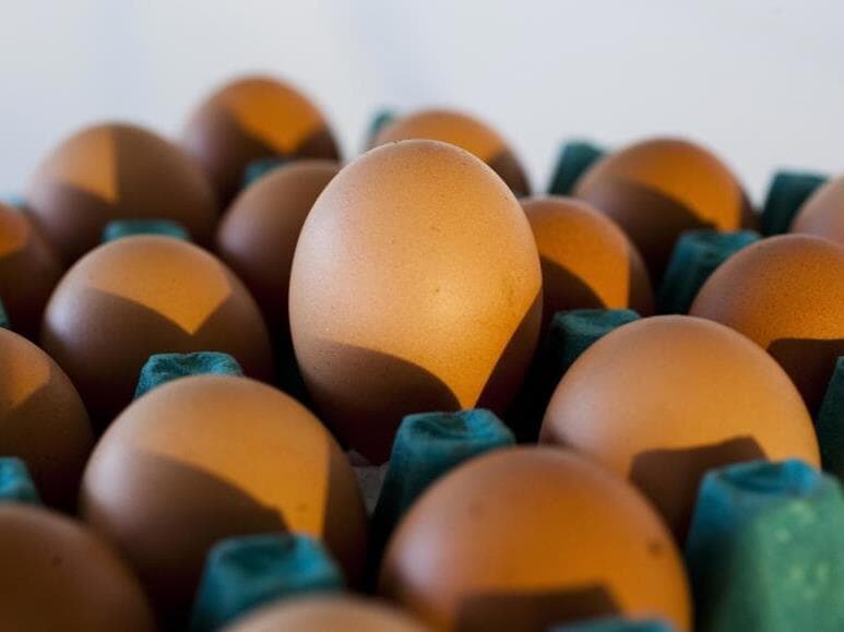 A Hickmans Egg Ranch faz parte do grupo das 20 maiores empresas do setor nos Estados Unidos.  - Marcelo Justo/Folhapress