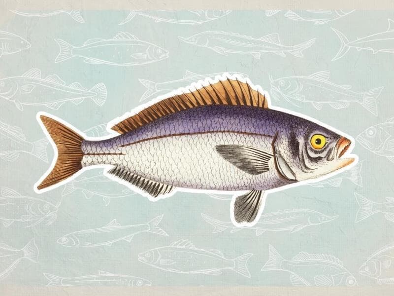 Projeto foi apresentado em 14 de novembro. - Arte Congresso em Foco