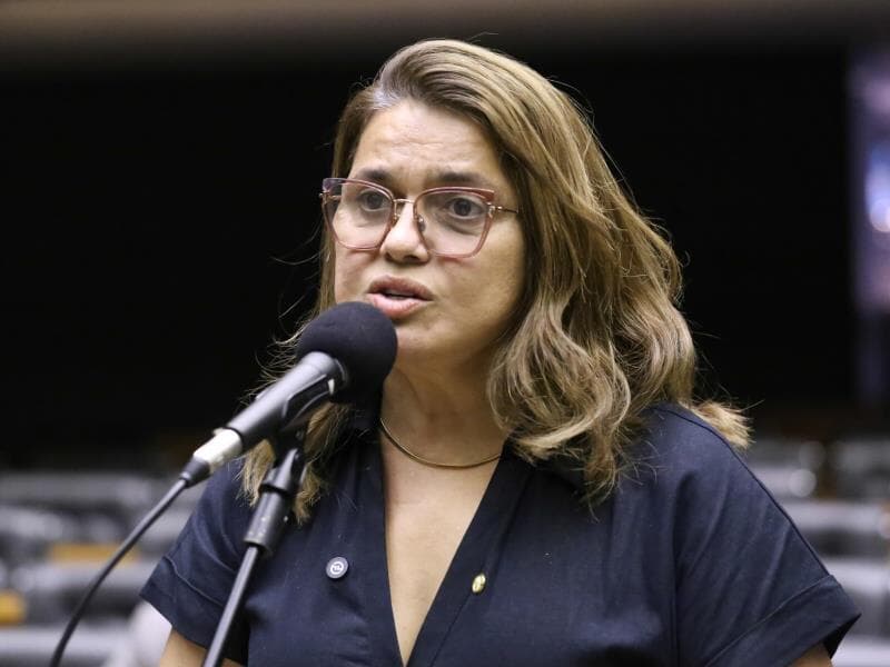 A empresa Asatur pertence à família de Helena. - Kayo Magalhães/Câmara dos Deputados