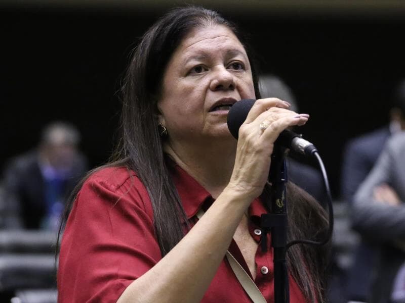 Laura Carneiro foi a relatora da proposta. - Kayo Magalhães/Câmara dos Deputados