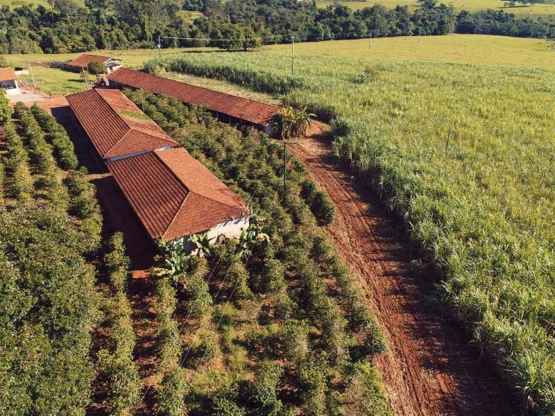 O projeto tramita em caráter conclusivo. - Freepik