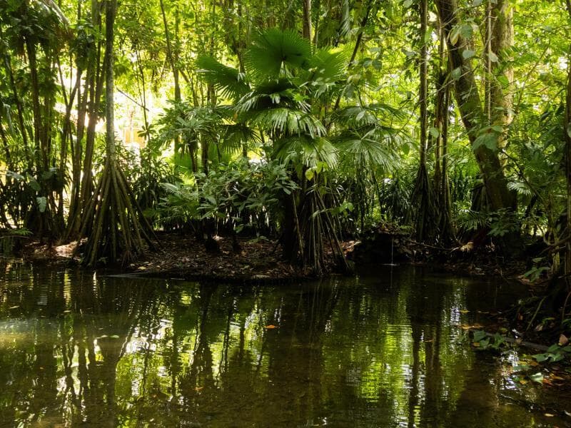 Tarcísio Motta propôs a criação do SUS do Clima. - Oswaldo Forte/Fotoarena/Folhapress