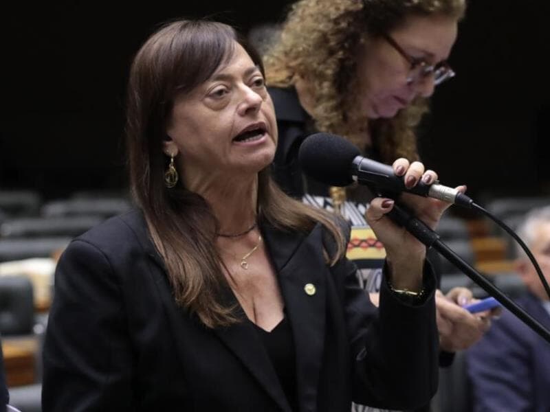 Alice Portugal (PCdoB-BA), autora do requerimento de realização do debate. - Bruno Spada/Câmara dos Deputados