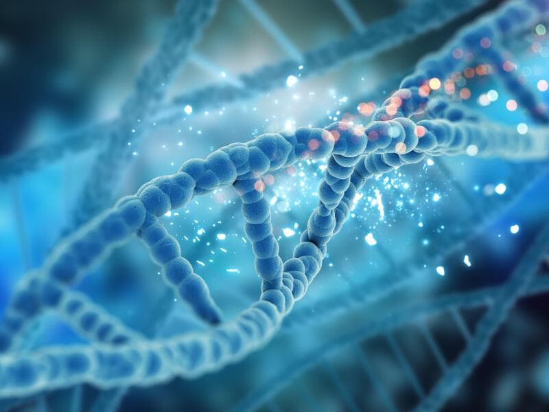 Projeto foi apresentado na quarta-feira (19). - Freepik