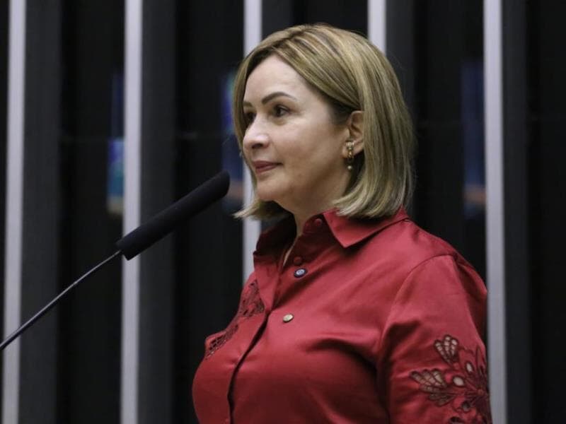 Projeto foi apresentado na segunda-feira (24). - Kayo Magalhães/Câmara dos Deputados