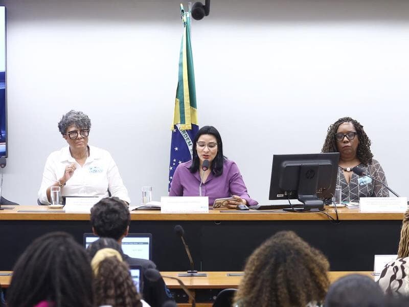 Amanhã (25), a comissão especial deve votar a PEC do Fundo da Igualdade Racial. - Vinicius Loures/Câmara dos Deputados