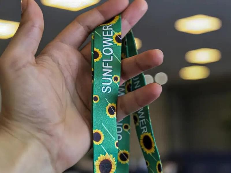 O governo citou falta de fonte de custeio e impacto financeiro contínuo como motivos para vetar o projeto. - Divulgação/Governo do Paraná 