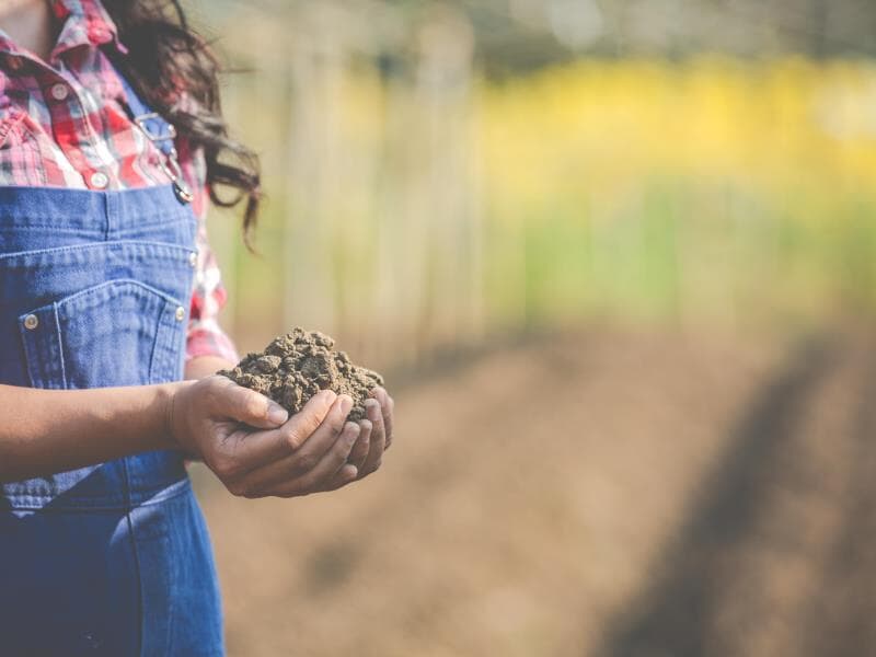 Projeto tramitou em caráter terminativo. - Freepik