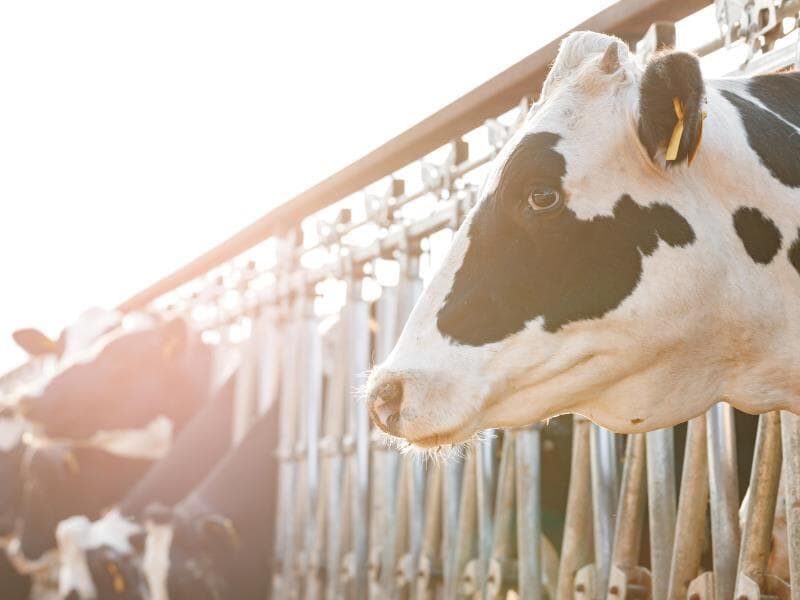 Audiência pública está marcada para 14h. - Freepik