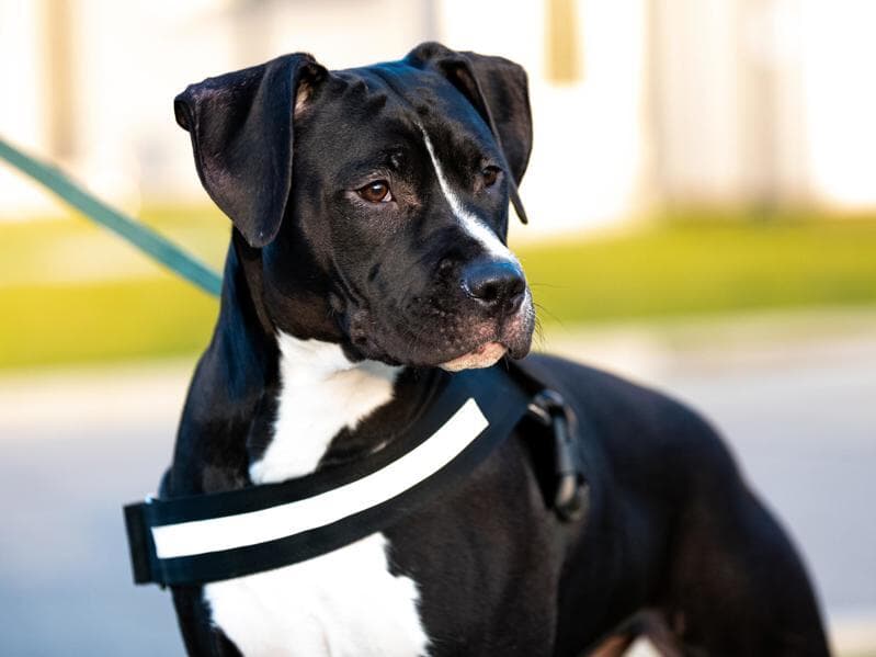 Projeto foi apresentado em 4 de dezembro. - Freepik