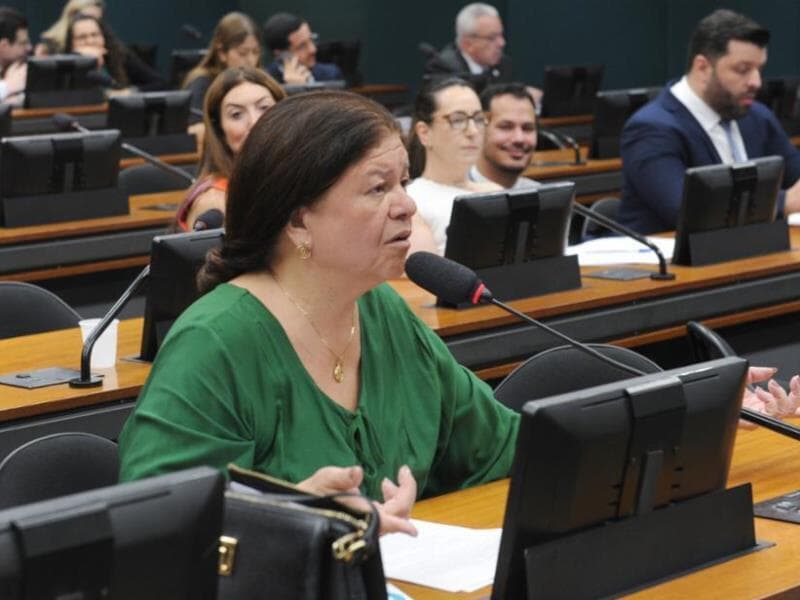 Para a relatora, o texto fomenta responsabilidade social. - Renato Araújo/Câmara dos Deputados