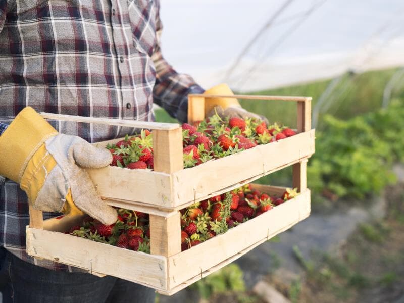 Texto já havia sido aprovado na Comissão de Assuntos Sociais. - Freepik