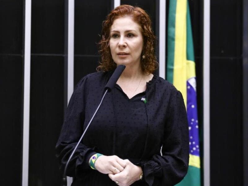 Carla Zambelli - Vinicius Loures/Câmara dos Deputados