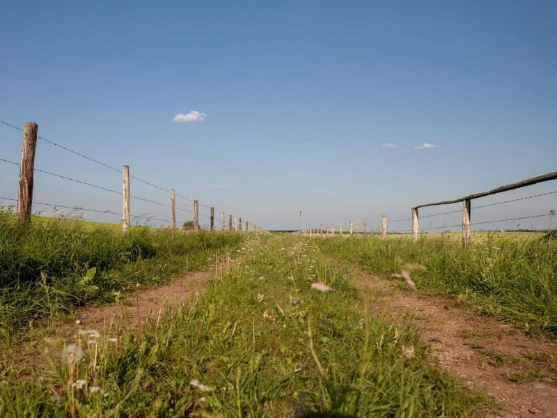 Imóveis rurais na faixa de fronteira poderão ser ratificados por mais 15 anos. - Freepik