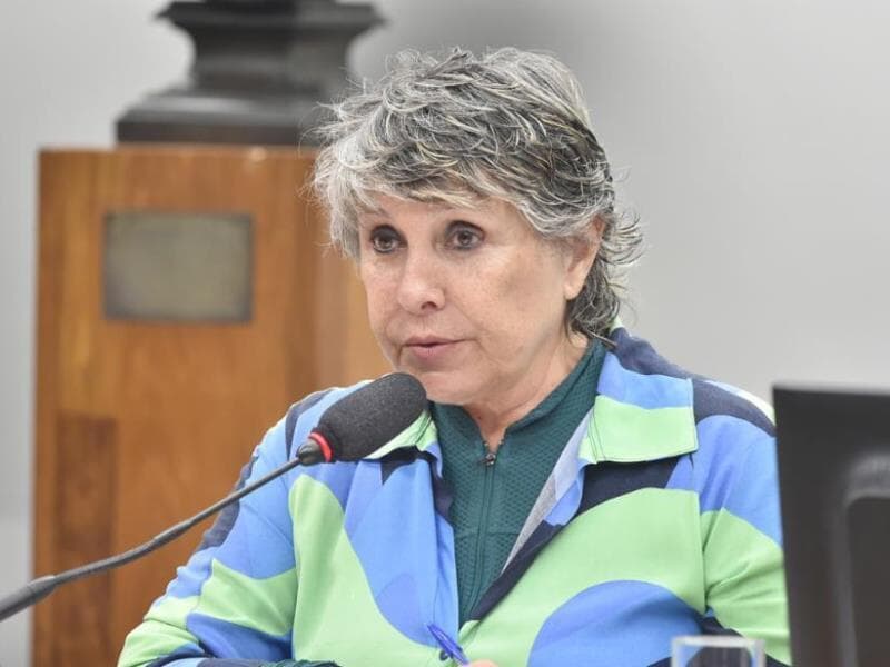 Projeto foi apresentado em julho desde ano. - Zeca Ribeiro/Câmara dos Deputados