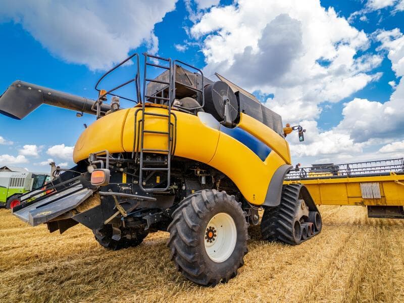 Texto foi apresentado em novembro de 2024. - Freepik