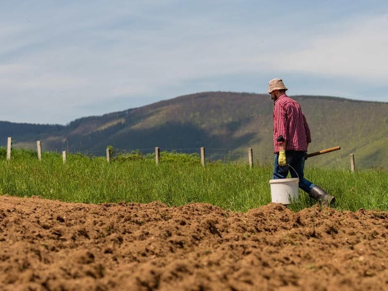 Tramitando em caráter conclusivo, o texto será encaminhado às comissões de Finanças e Tributação, e de Constituição e Justiça. - Freepik