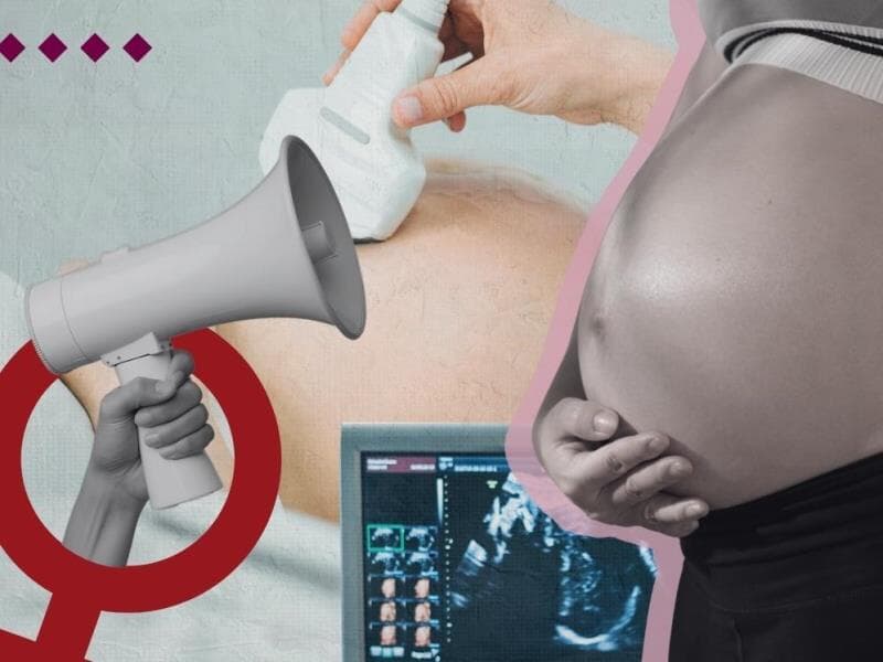 Objetivo é garantir dignidade e respeito às mulheres em todas as etapas da gestação e do puerpério. - Arte Congresso em Foco