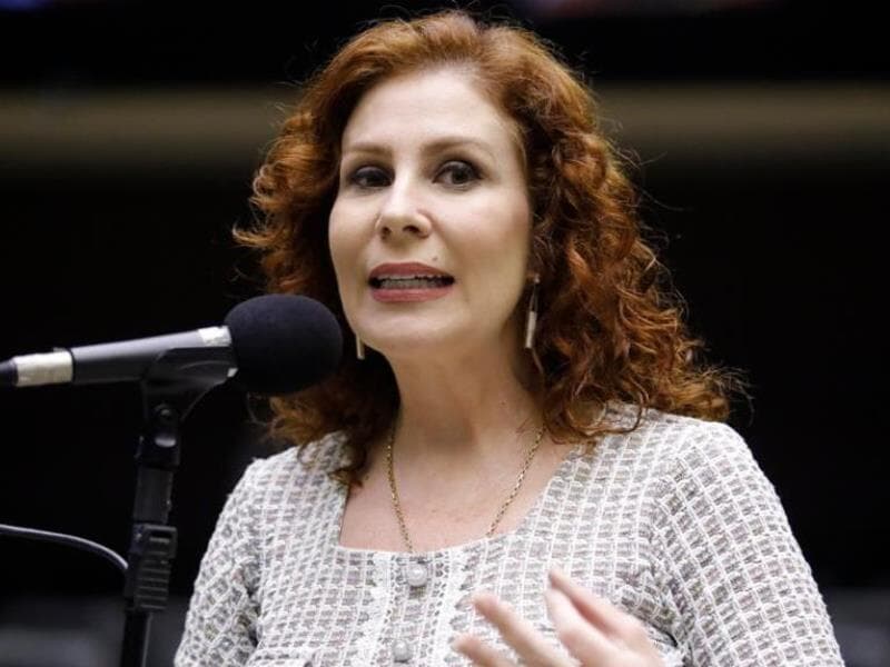 Ministros ressaltaram que Zambelli não possui condições para exercer o cargo de dentro da prisão. - Mário Agra/Câmara dos Deputados