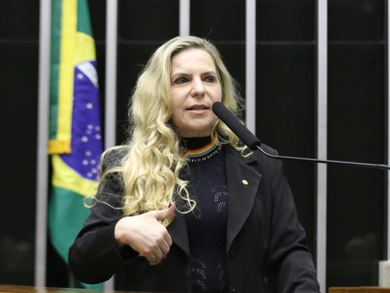 Texto de autoria de Luizianne Lins e Aliel Machado segue para análise da CCJ. - Kayo Magalhães/Câmara dos Deputados