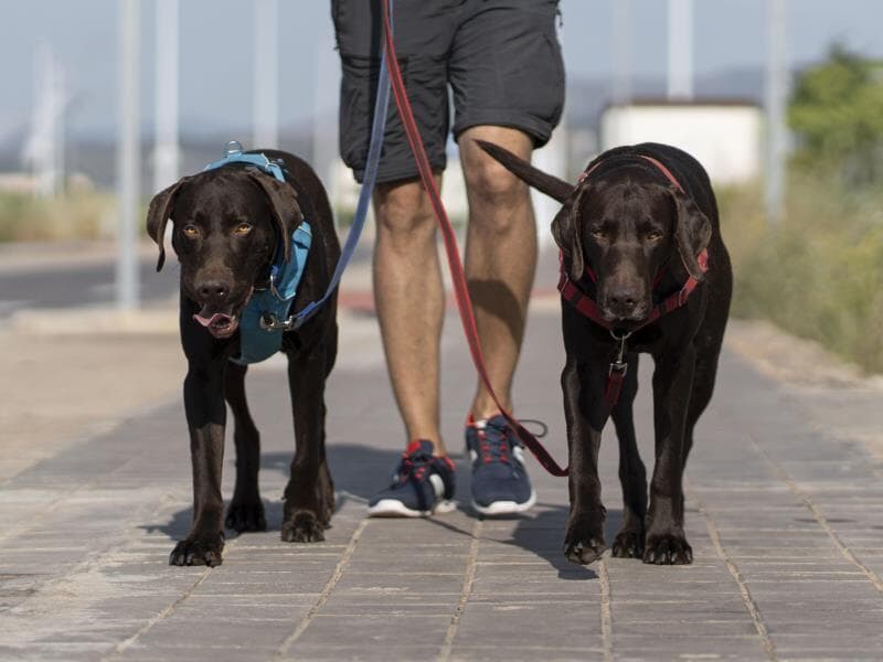 Projeto foi apresentado em 10 de dezembro. - Freepik