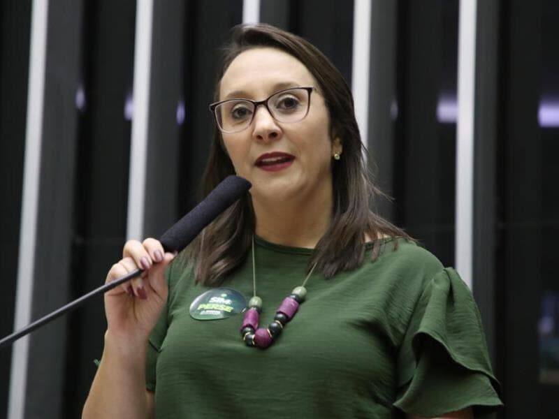 O projeto foi proposto pela deputada Renata Abreu. - Mário Agra/Câmara dos Deputados