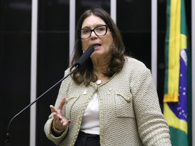 Relatora, deputada Bia Kicis (PL-DF).  - Kayo Magalhães/Câmara dos Deputados