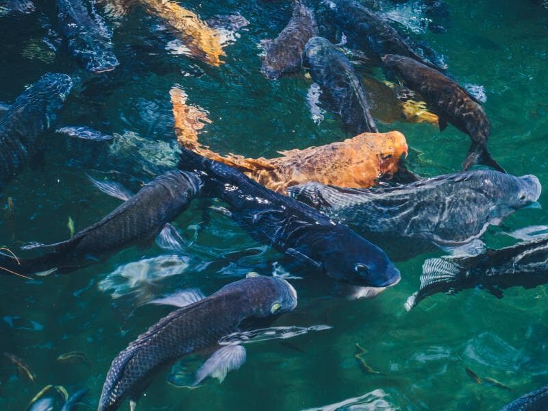 Texto tramita desde 30 de outubro de 2024. - Freepik