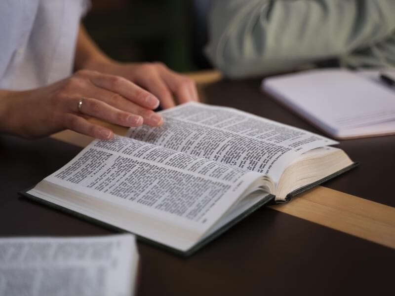 Texto foi apresentado em 12 de dezembro. - Freepik Texto foi apresentado em 12 de dezembro. - Freepik