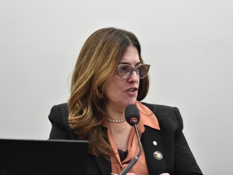 Texto tramita desde março deste ano. - Zeca Ribeiro/Câmara dos Deputados